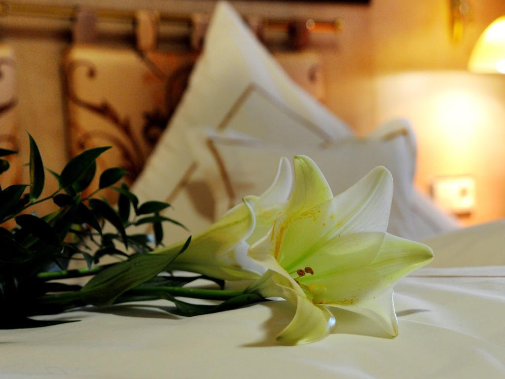 Wellness- Und Ferienhotel Waldesruh Боденмайс Стая снимка